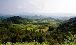 2018年贵州高校排名（贵州省各高校排名）