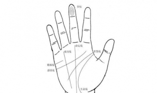 手相怎么看财运 手相怎么看财运线
