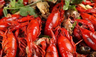 香辣小龙虾 香辣小龙虾怎么做好吃