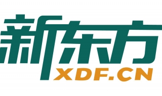 怎么用掌上新东方