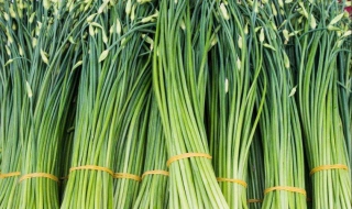 韭苔怎么做 韭苔怎么做好吃