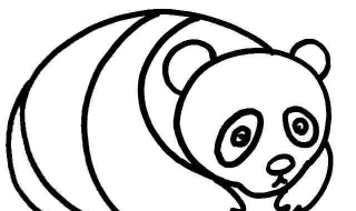 大熊猫怎么画（大熊猫怎么画简单又可爱）