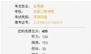 英语四级成绩:应该如何查询(怎么英语四级成绩查询)