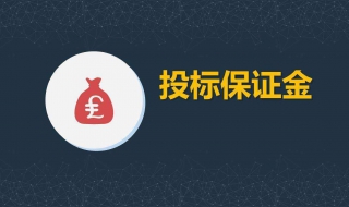 投标保证金要如何使用 投标保证金干什么用