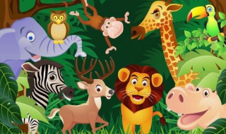 动画片中动物世界的大谬误（动画片中动物世界的大谬误有哪些）