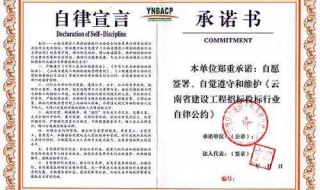 承诺书怎么写（承诺书怎么写给学校）