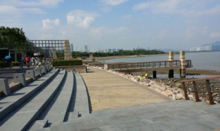 深圳湾公园徒步攻略（深圳湾公园徒步攻略视频）