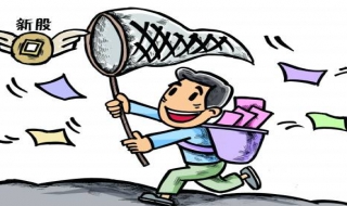 如何申购新股 手机上如何申购新股