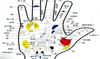 如何来看手相上的主要纹路 如何来看手相上的主要纹路图解