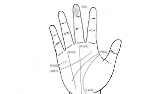 初识手相算命（如何看待手相算命）