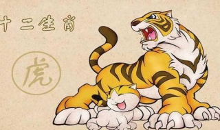 属虎的人2017年运势怎么样 属虎的人今年的运势怎么样