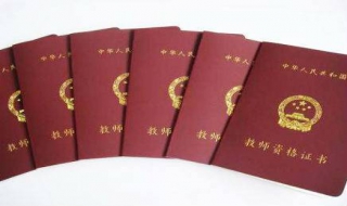 中小学教师资格证面试成绩查询（中小学教师资格证面试成绩查询2022）