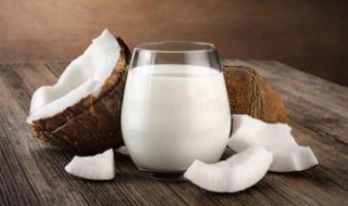 椰奶捞的制作方法，爽口的一道甜品（椰奶捞的制作方法,爽口的一道甜品是什么）