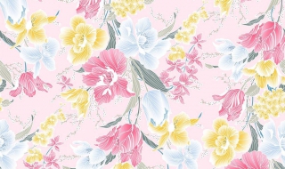 如何选购墙纸，起到美化居室的作用（墙纸怎么装饰好看）