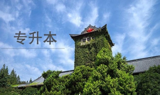 专升本报考条件，一起来学历提升吧（本科学历可以报考专升本吗）