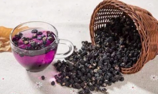 九叶蓝野生黑枸杞有什么功效