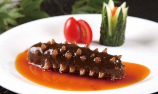 海参的做法有哪些（海参的做法有几种呀怎么做好啊）