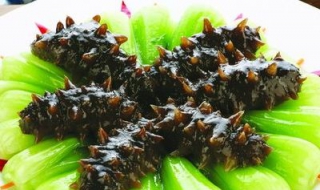 海参的做法有哪些 海参的做法有哪些图片