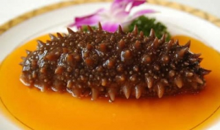 海参的做法有哪些 海参的做法有几种呀怎么做好啊