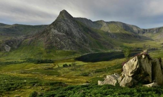 【威尔士兔子马芬 威尔士兔子图片