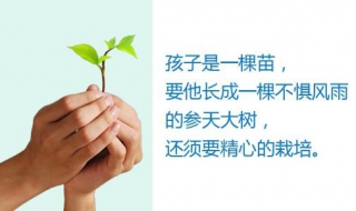 班主任工作总结（班主任工作总结简短）