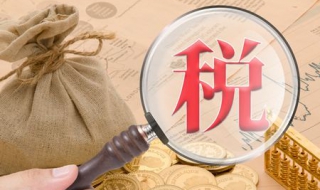 资源税纳税申报表进行了哪些修订（资源税纳税申报表进行了哪些修订）