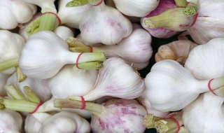 糖醋蒜的腌制方法 糖醋蒜的腌制方法 家常