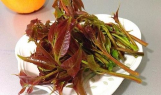 香椿怎么吃更安全 香椿安全吃法