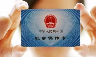 社保怎么查（社保怎么查询缴费记录）