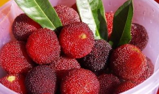 杨梅怎么洗才干净（杨梅怎么洗才干净没有盐）