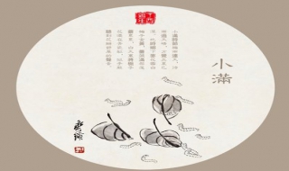 小满是什么季节 小满是什么季节,是几月几日2022