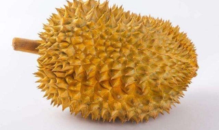 怎样挑选榴莲（怎样挑选榴莲肉多）