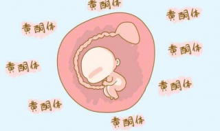 孕酮低怎么办 孕酮很低只要不出血就行