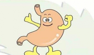 脾胃虚弱怎么调理（脾胃虚弱怎么调理食疗吃些什么补）