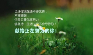 唯美的句子 唯美的句子经典语句