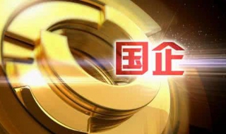 国有企业如何执行公司法 国有企业 公司法