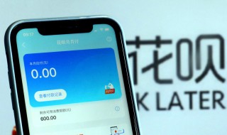 无法使用花呗购物是什么意思（显示无法使用花呗购物是怎么回事）