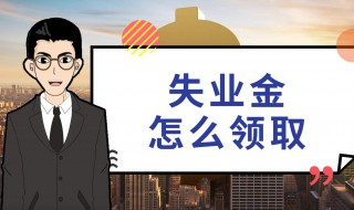 失业金可以领取吗 主动辞职失业金可以领取吗