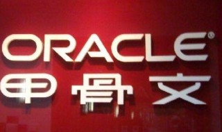 甲骨文公司有啥软件 甲骨文公司做什么软件