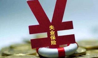 失业补助金怎么申请2020（失业补助金怎么申请2020年）