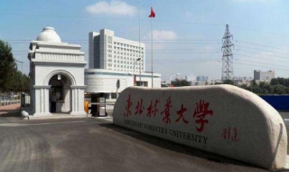 东北林业大学食宿条件（东北林业大学伙食怎么样）