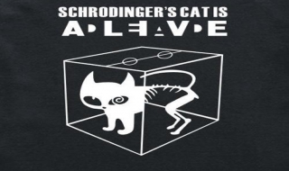谁能解释一下薛定谔的猫（薛定谔的猫简单说明）