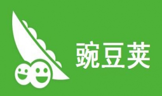 豌豆荚服务程序（为什么总是豌豆荚服务已停止）