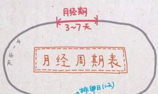 排卵期怎么算 排卵期怎么算 排卵期的计算方法