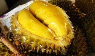 榴莲怎么挑（买榴莲应该怎么挑）