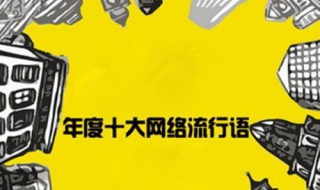 网络流行语研究（网络流行语研究现状）