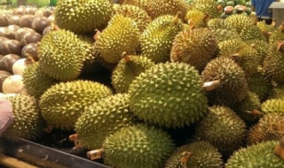 榴莲怎么挑（榴莲怎么挑才是最好的）