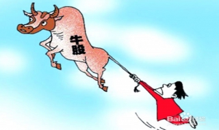 金螳螂出现较佳的投资机会 金螳螂发展前景