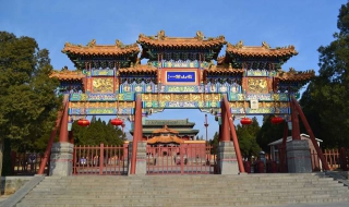 如何安排郑州景点游（郑州景区游玩）