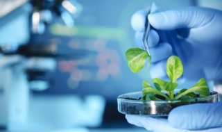 生物技术专业 生物技术专业就业前景